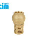 VÁLVULA CHECK CANASTILLA 6″ CIM-95