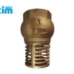 VÁLVULA CHECK CANASTILLA 1" CIM-95