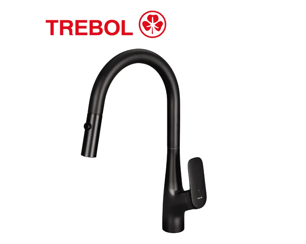 PLANTILLAS DE IMAGENES DE WEB - 2026-06-02T224938.534 MEZCLADORA MONOCOMANDO DE COCINA PICO EXTRAÍBLE OXFORD NEGRO MATE - TREBOL - Imagen 1