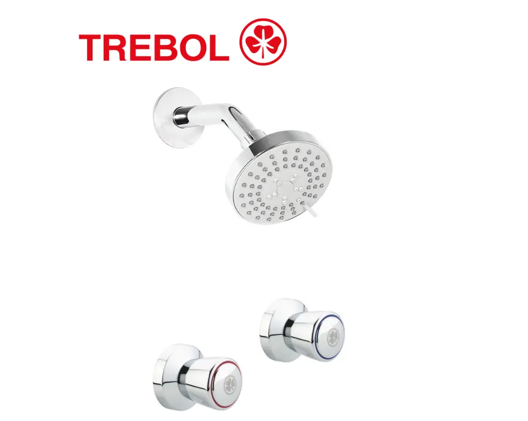 PLANTILLAS DE IMAGENES DE WEB - 2026-06-09T195610.795 MEZCLADORA DE 8” PARA DUCHA - TREBOL - Imagen 1