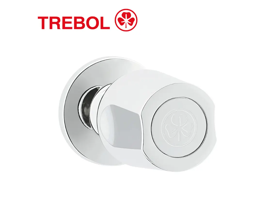 PLANTILLAS DE IMAGENES DE WEB - 2026-06-17T053313.758 LLAVE DE ½” EMPOTRADA PARA DUCHA - TREBOL - Imagen 1
