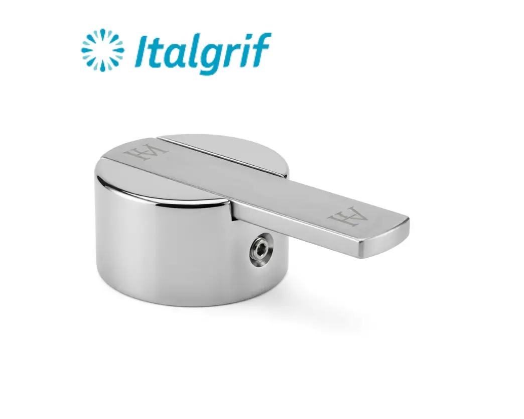 PLANTILLAS DE IMAGENES DE WEB - 2026-05-31T140830.152 PERILLA MONOCOMANDO BUZIOS LEVER - ITALGRIF - Imagen 1